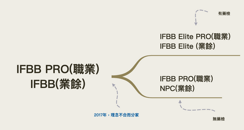 IFBB發展過程