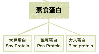 素食蛋白粉的種類